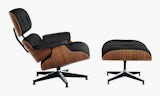 Eames Lounge & Ottoman